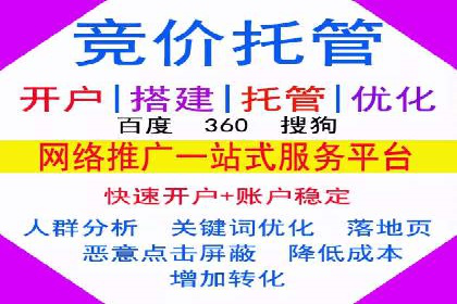 电商行业SEM运营的挑战与成功案例